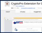 Как установить и почему не запускается расширение КриптоПро browser plugin в Yandex browser Скачать плагин crypto interface plugin 2